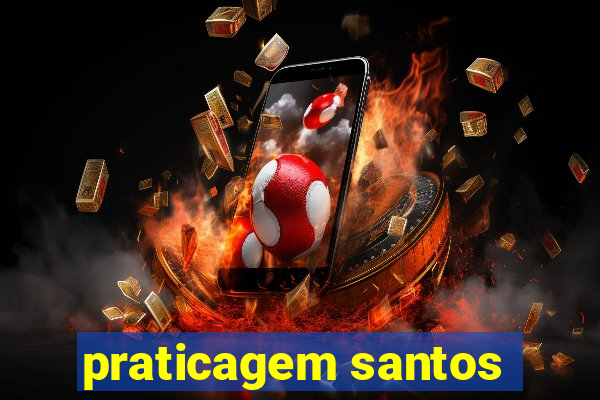 praticagem santos